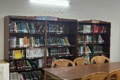 Picture7